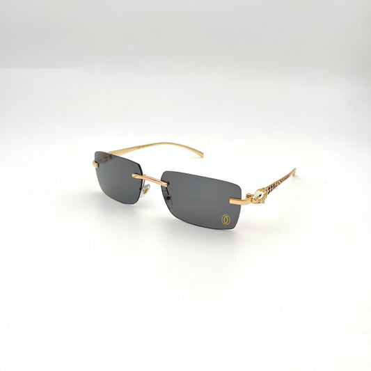 Gafas CAR