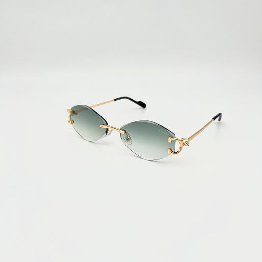 Gafas CAR