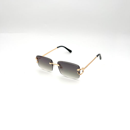 Gafas CAR