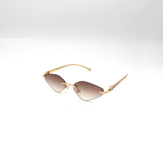 Gafas CAR