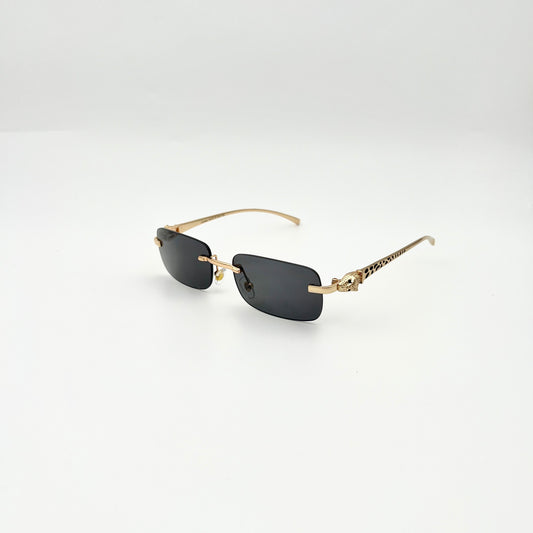 Gafas CAR