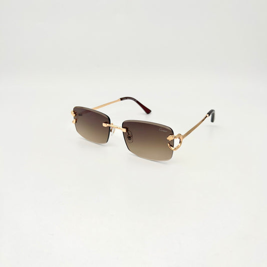Gafas CAR