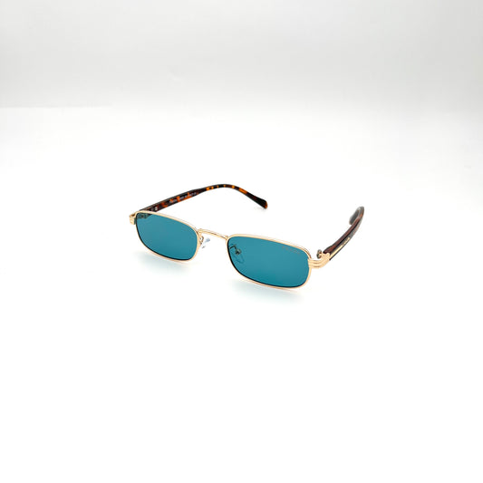 Gafas PD